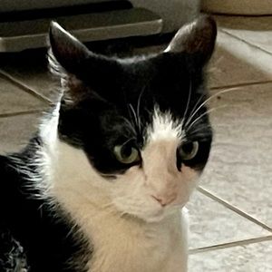 Meet your Posher, Evaleen